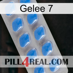 Jelly 7 22